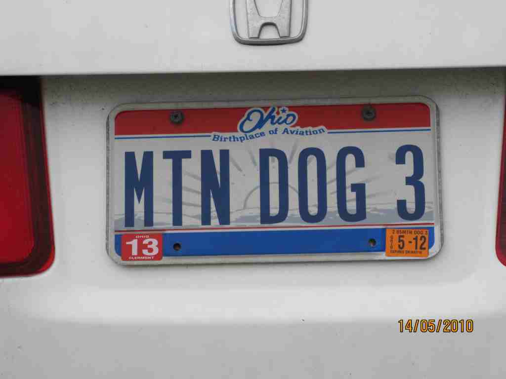 mtn dog 3