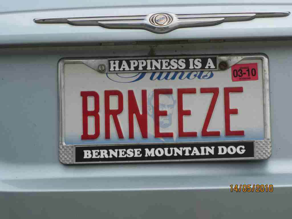 brneeze