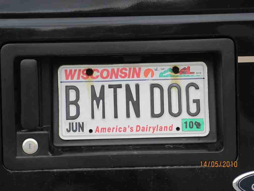 bmtm dog