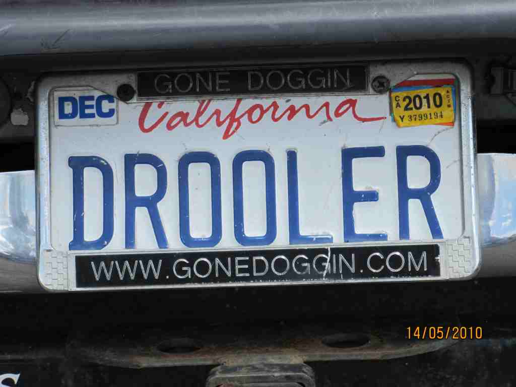 drooler