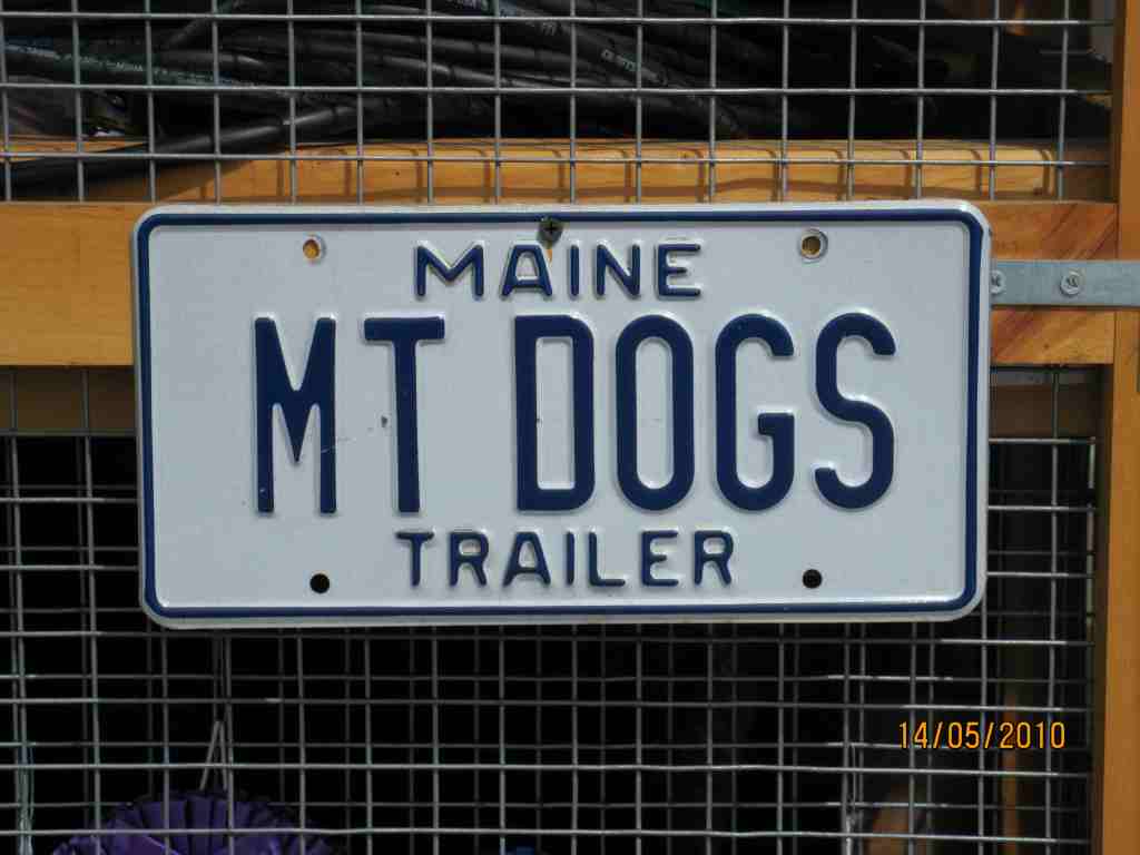 mt dogs