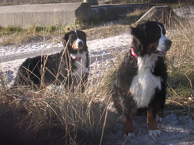 Robin&Charmy