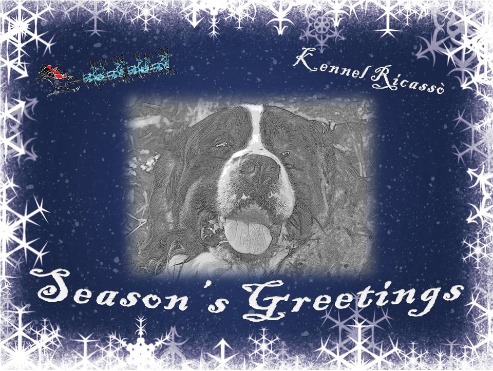 Season's Greetings 2013