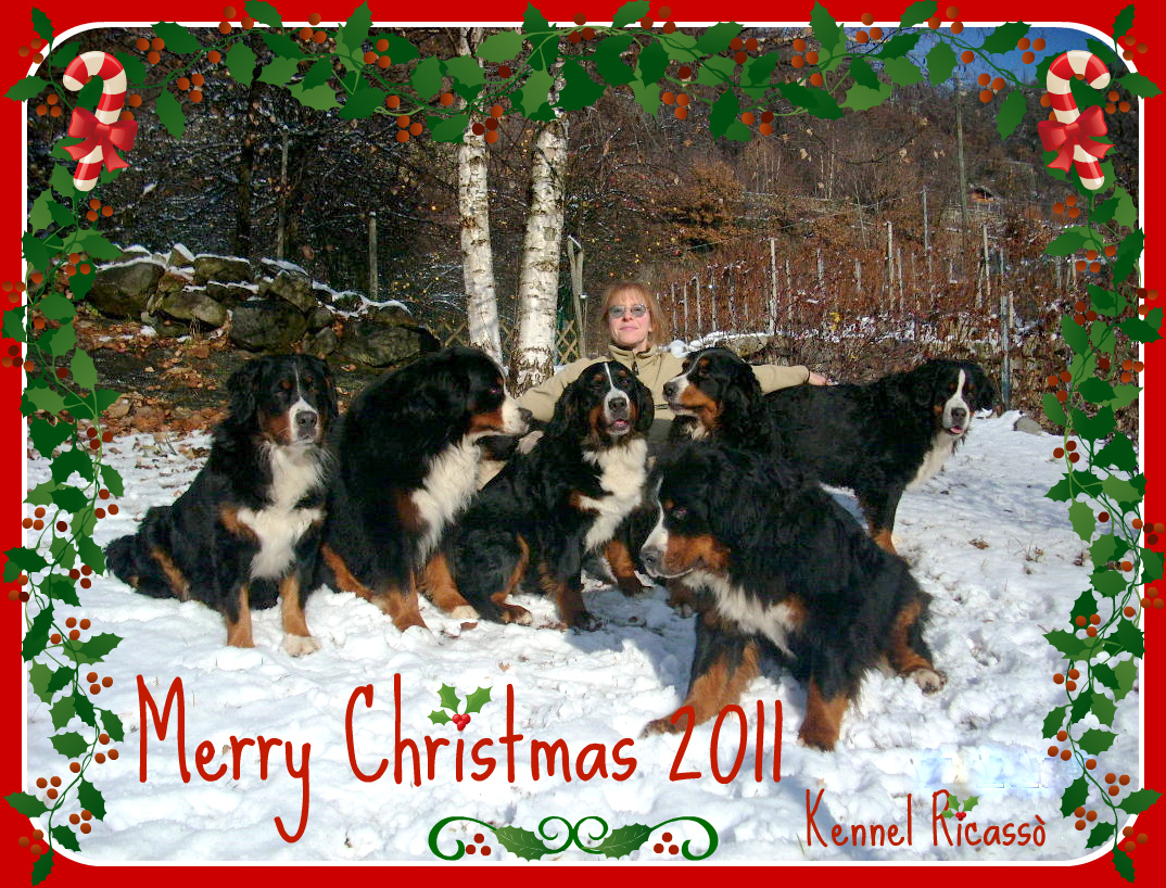 merry xmas