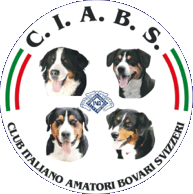 ciabs