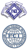 enci-fci