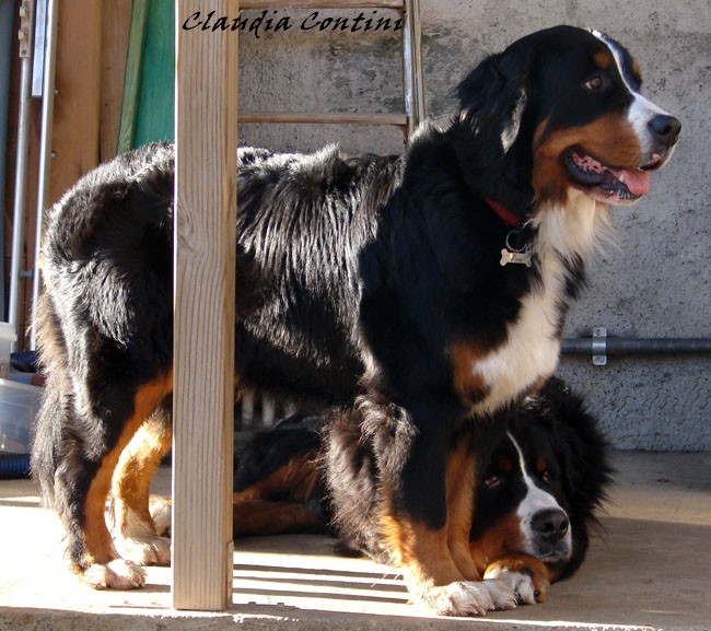 Eva e George