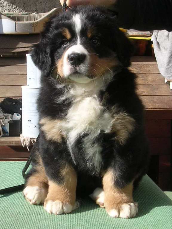 clotilde